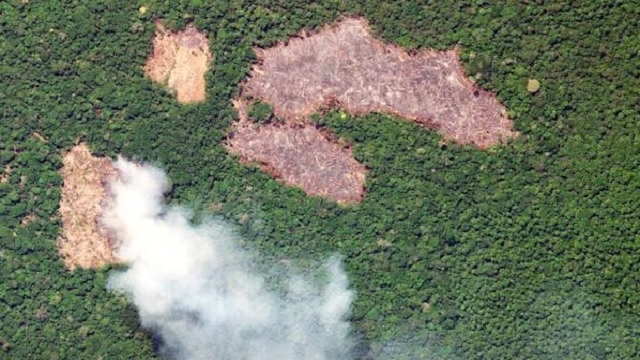 La forêt amazonienne en train de devenir source de CO2, selon une étude