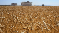 Céréales ukrainiennes : l’UE met fin aux restrictions d’importation
