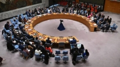 Adhésion de la Palestine à l'ONU: le Conseil de sécurité ne trouve 
