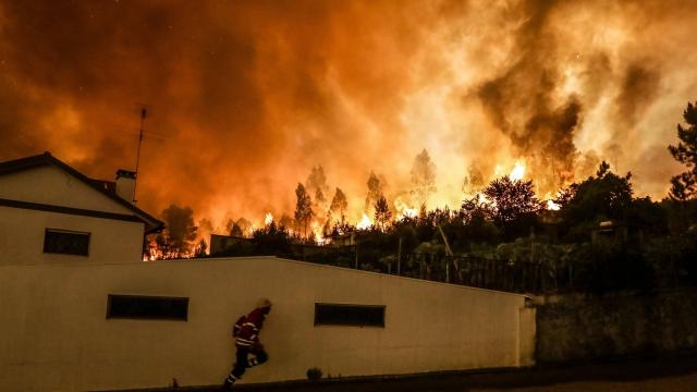 Incendie de forêt meurtrier au Portugal: le pays sous le choc