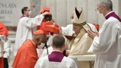 Treize nouveaux cardinaux pour modeler l'Eglise du pape François